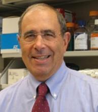 John I. Gallin, M.D., M.A.C.P.