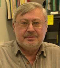 Victor Lobanenkov, Ph.D.