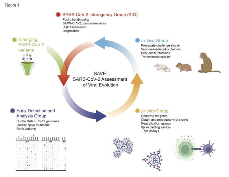 Diagnostics and analysis of SARS-CoV-2: current status, recent