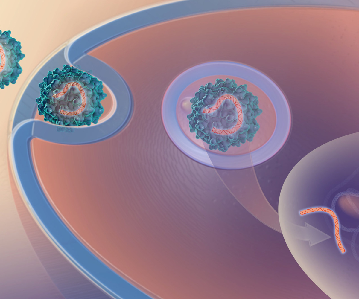 Gene therapy
