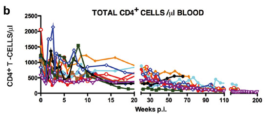 Total CD4+ Cells/jul Blood