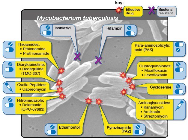 Tuberculosis Drugs and Mechanisms of Action | NIH: National Institute of  Allergy and Infectious Diseases