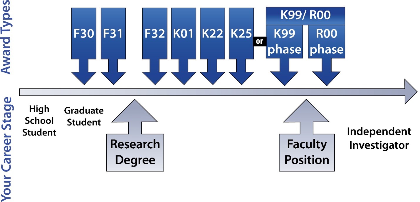 Image: Timeline for Ph.D.s to apply to NIH. We summarize the graphic fully in the text below.