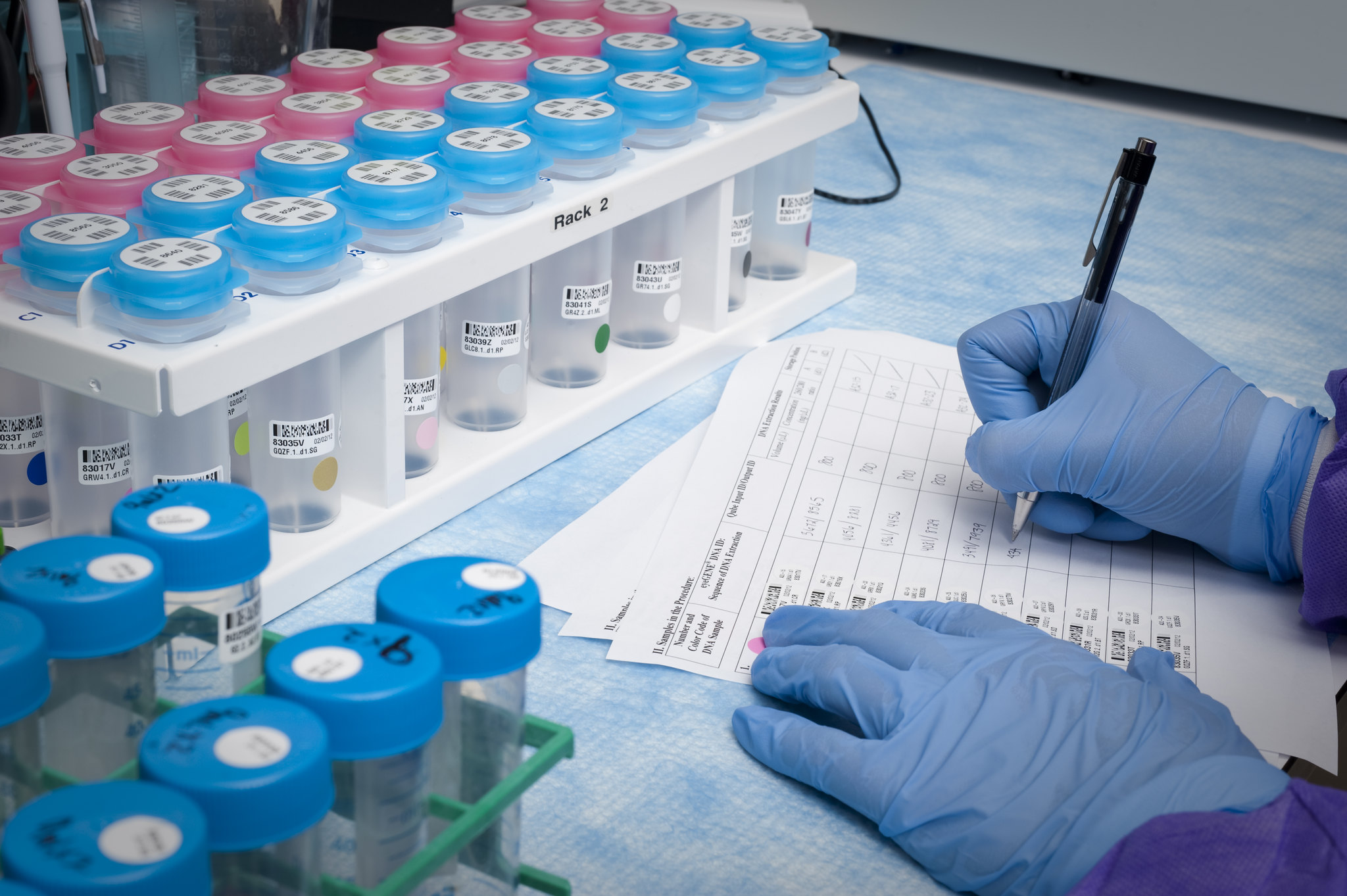 A lab scientist documents research data