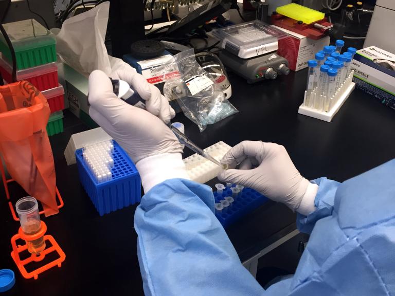 Arms of scientist in gloves and lab-coat working with vials in a lab
