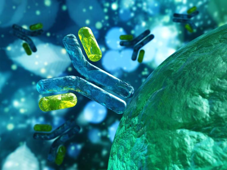 Y-shaped monoclonal antibodies on a blue background with a monoclonal antibody in blue and yellow in the foreground approaching a green sphere representing a cell.