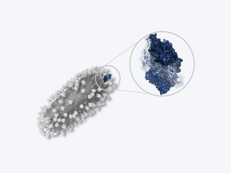 a virus surface