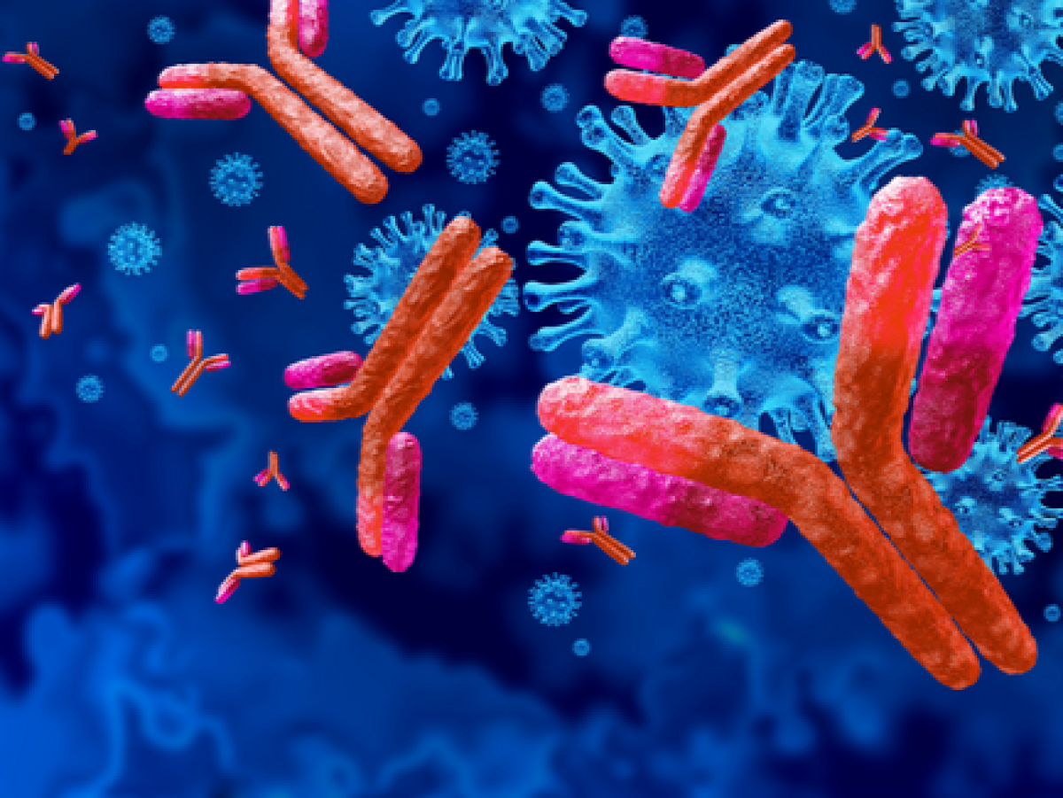 mRNA chromosomes