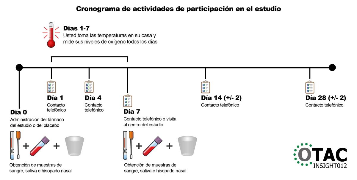 Calendario de actividades durante la participación en el estudio. Consulte el texto a continuación para obtener más información.