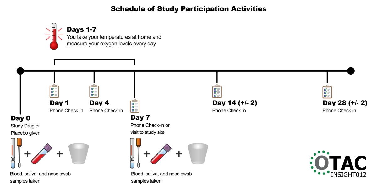 A graphical timeline showing study participation activities by day. See the text below for full description.