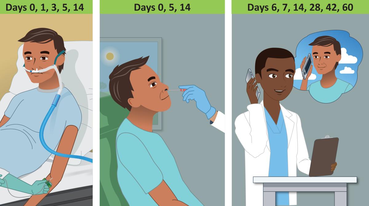 Three panel cartoon showing the days for blood draw (0, 1, 3, 5, 14), nose swab (0, 5, 14) and phone check-in (6, 7, 14, 28, 42, 60)