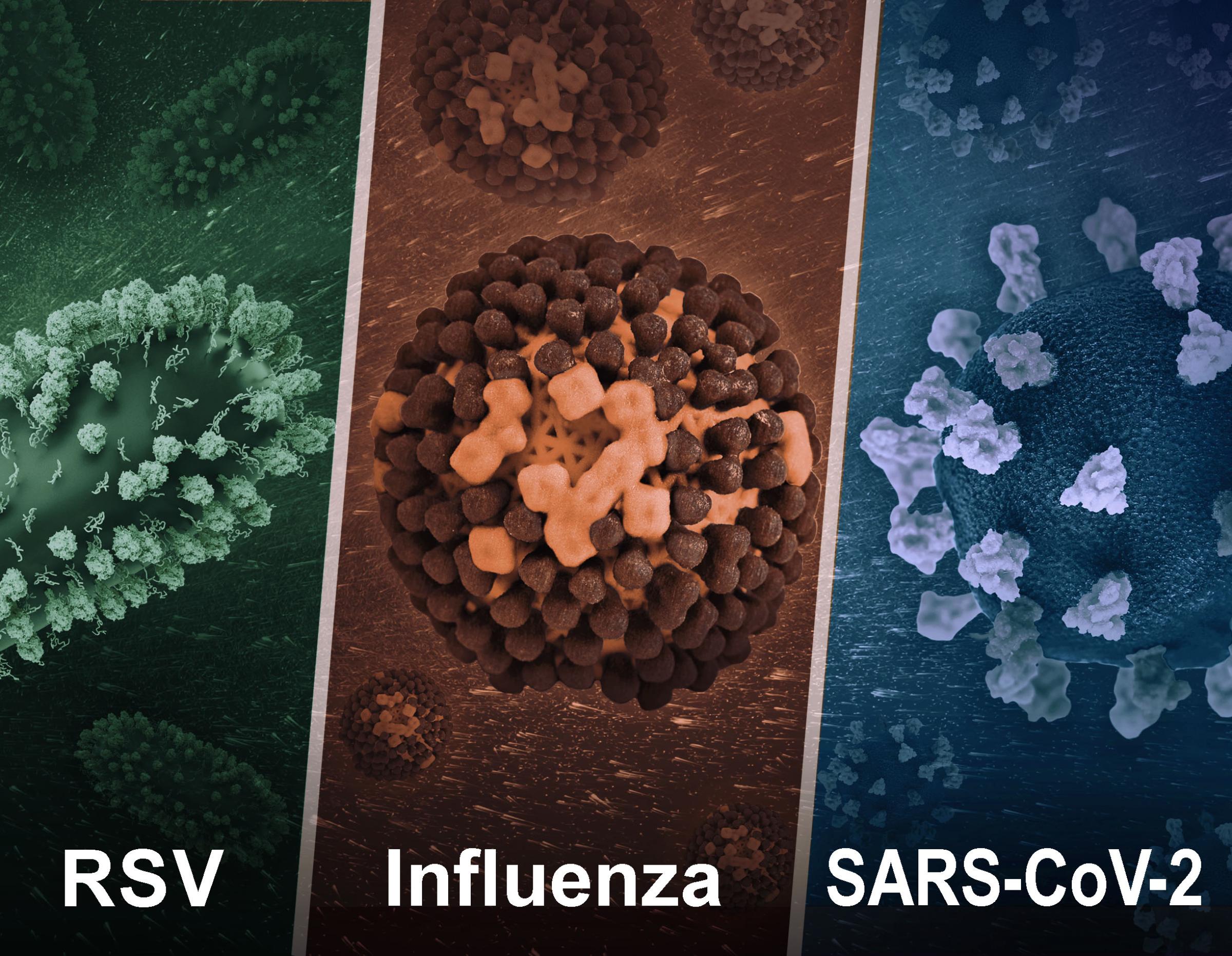 Three 3D images show, left to right, RSV, Influenza, and SARS-CoV-2.