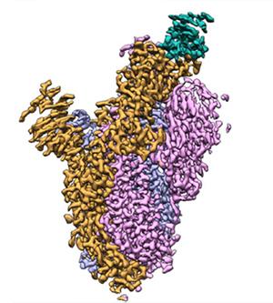 model of the LY-CoV555-spike complex