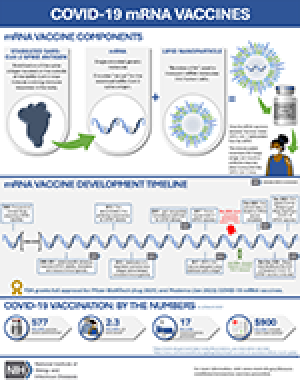 thumbnail of the mRNA Vaccine Development PDF