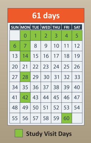 A cartoon of a calendar with 60 days in it.