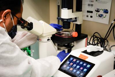 Researcher Using Electron Microscope