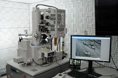 Hitachi SU-8000, a semi-in-lens 30 kV field emission electron microscope with secondary, backscatter, and STEM detector.
