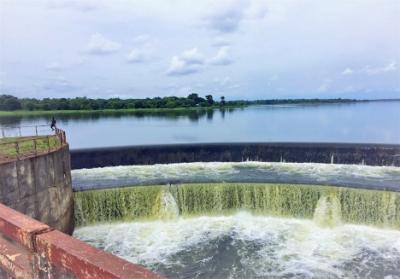 Water from Abobo Alwero dam near Ethiopia-Sudan border irrigates a 10,000-hectare rice farm in Gambela, Ethiopia in one of the ICEMR study sites.