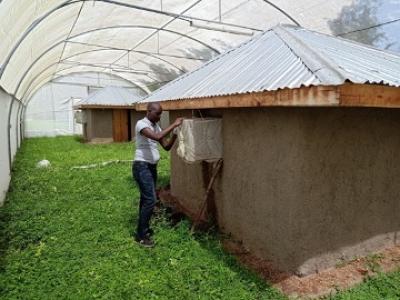 A technician fixes exit traps on typical African huts constructed inside a Malariasphere. Mosquitoes that gain entry are caught using MMX traps baited with a synthetic attractant mimicking human odour.