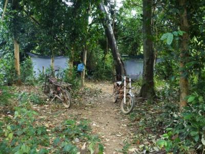 Double-nets traps set-up in a forest site in Kaev Seima District, Mundolkiri Province, Cambodia.