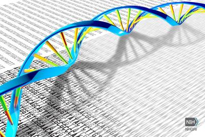 Three-dimensional DNA double helix rests on a flat white page with black letters.