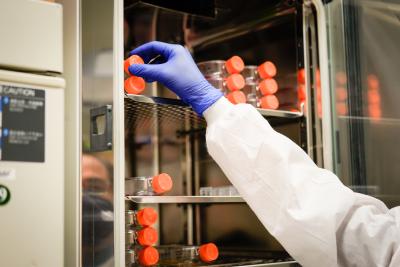 NIAID researcher reaching for cell cultures in a CO2 incubator.