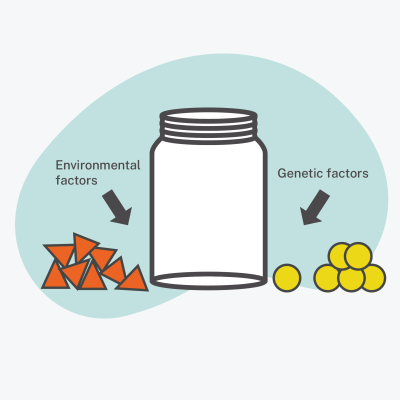 cartoon of an empty jar with a pile of orange shapes on the left under a header "Environmental factors" and a pile of yellow circles on the right under a header "Genetic factors"