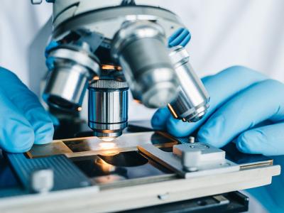 hands in rubber gloves using microscope