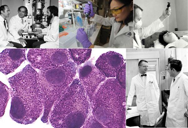 Collage of images from DIR Scientific Advances Showcase