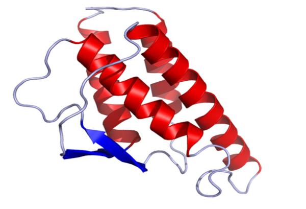 Crystal structure of human IL-4.