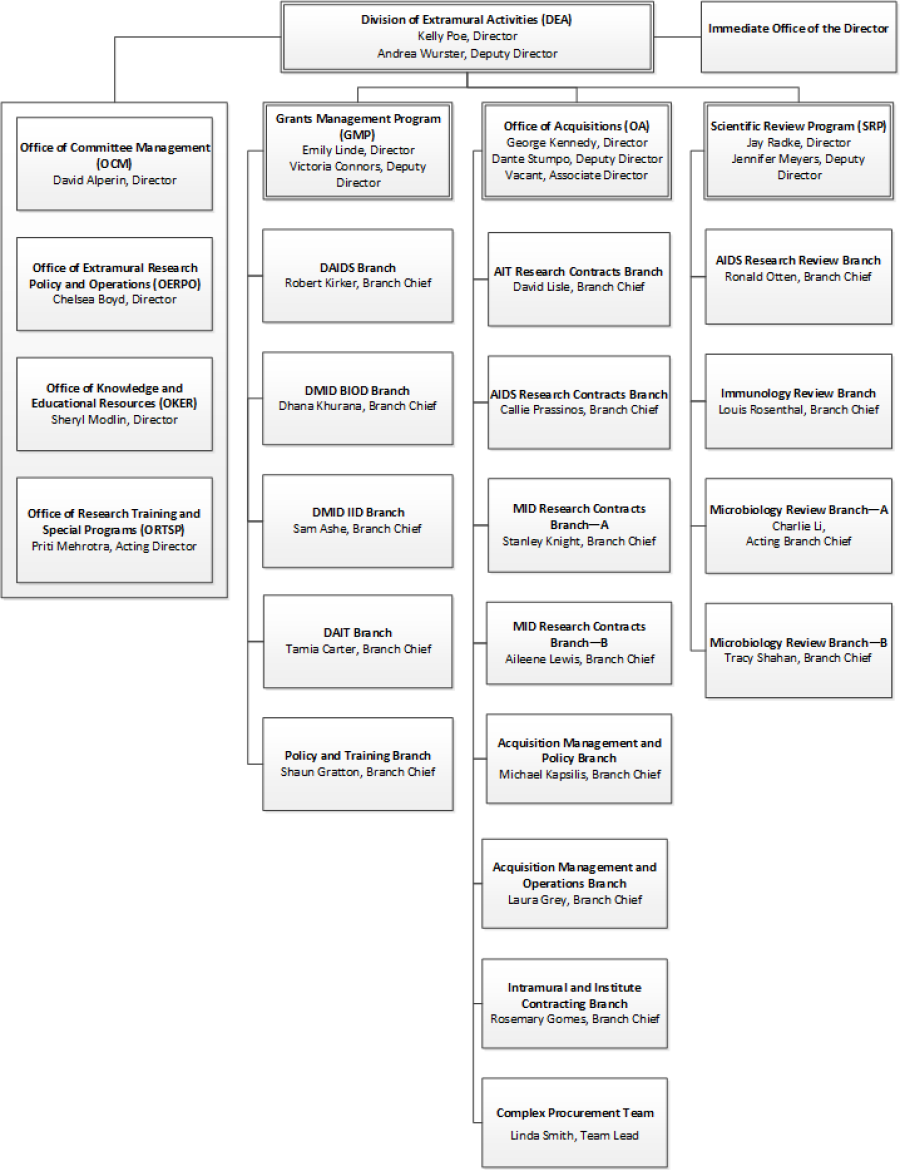 Organizational flow chart of the Division of Extramural Activities (DEA). Institute branches out to the Immediate Office of the Director, OCM, OEPRO, OKER, ORTSP, GMP, OA, and SRP. 
