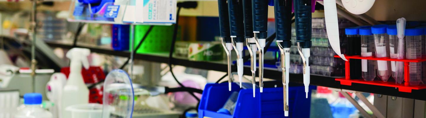 equipment in a lab