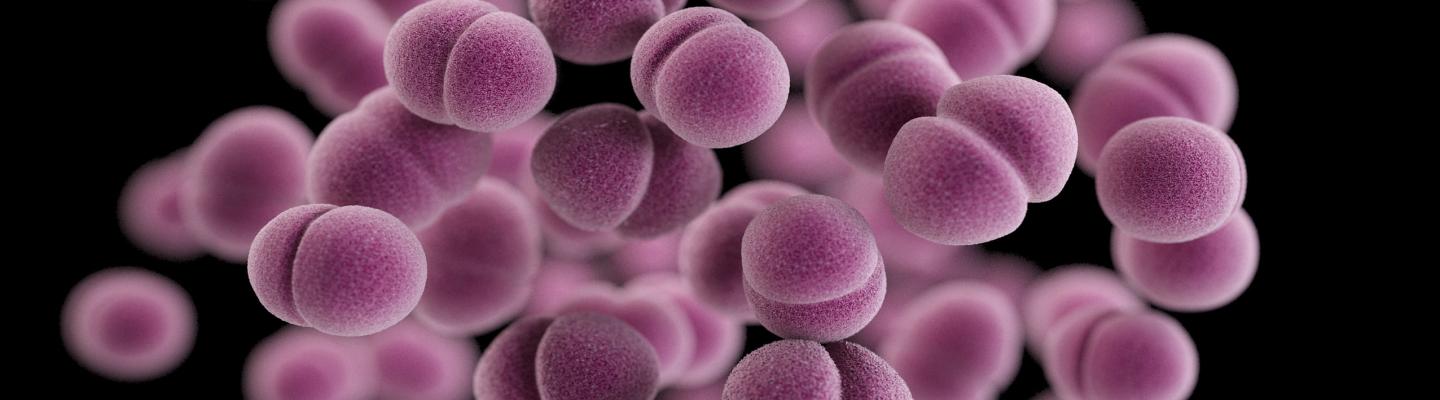 sexually transmitted disease research paper Sexually Transmitted Diseases image