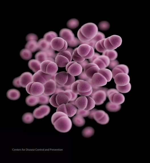 Sexually Transmitted Diseases image