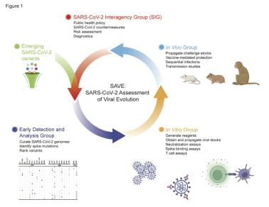 Why the New Coronavirus Unnerves Public Health: Remembering SARS