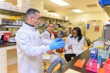 Visiting scientists received training on several key aspects to expedite mRNA vaccine production globally.