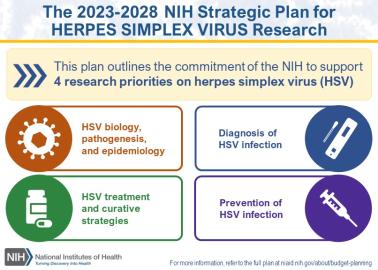 Two horizontal banners with text summarizing the title of the strategic plan and explaining NIH has four categories of research priorities. Below them are four boxes, each summarizing the research priority topic areas.