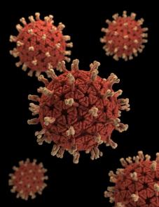3D Rotavirus virions