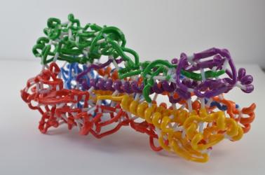 3D print of hemagglutinin (HA), one of the proteins found on the surface of influenza virus that enables the virus to infect human cells