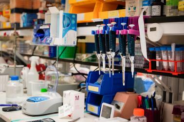 Workbench in NIAID intramural laboratory, with supplies and equipment