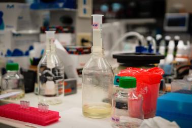 materials on a lab bench