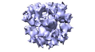 A cryo-EM image of the gH/gL/gp45 candidate vaccine construct