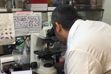 Man in white lab coat faces away from the camera and peers through a light microscope.