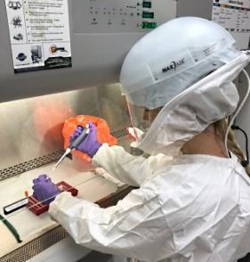 Photo of Carrie Long working in the laboratory