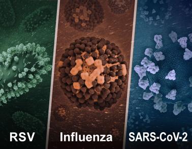 Three 3D images show, left to right, RSV, Influenza, and SARS-CoV-2.