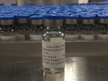 A photo of a vial of the NIAID Zika Virus Investigational DNA Vaccine