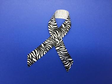 Zebra-print ribbon, a symbol for awareness of primary immunodeficiencies and other rare diseases.