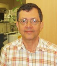 José RIBEIRO, Research Associate, PhD in Ecology