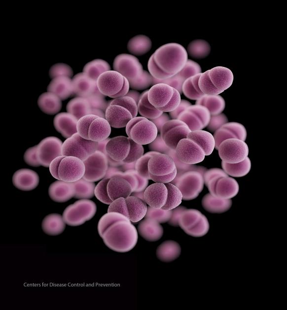 Sexually Transmitted Diseases | NIH: National Institute of Allergy and Infectious Diseases Sexually Transmitted Diseases | NIH: National Institute of Allergy and Infectious Diseases