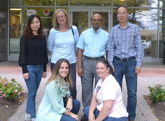 Bolland Research Group